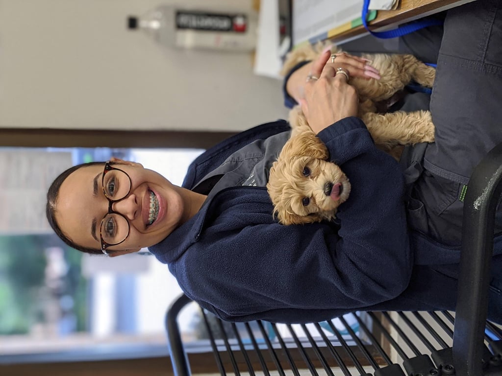puppy at veterinary clinic