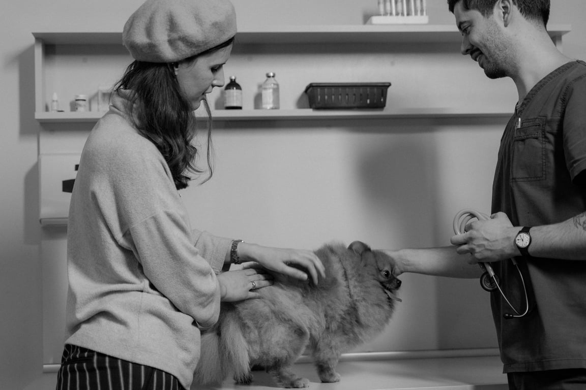 puppy at veterinarian