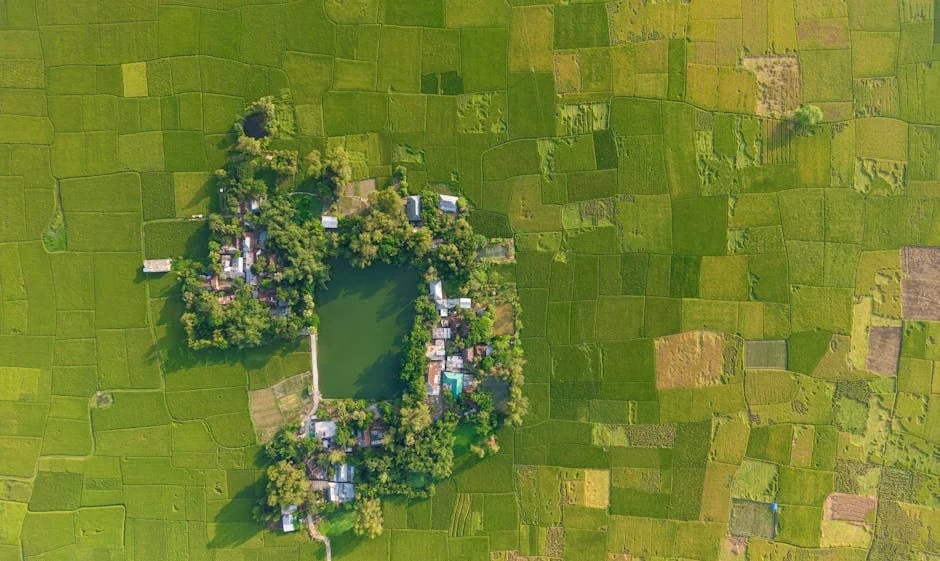 Image describing Why Boxabl Homes Are the Future Top 5 Reasons for 2025