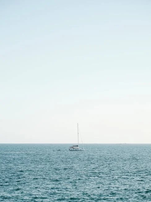 Image describing Top 10 Best Summer Programs Abroad in 2025!