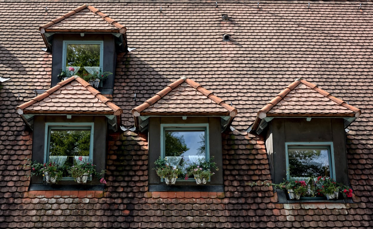 roof replacement shingles