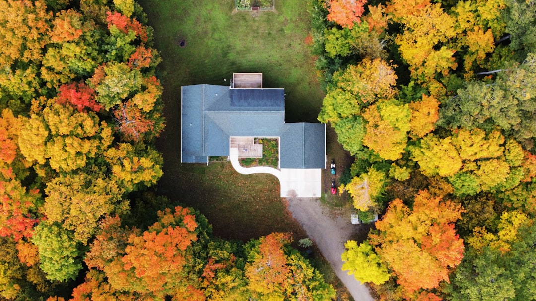 Whole House Generator Calculator: Size Backup Power for What Your Home Actually Needs