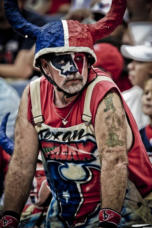 MLS stadium supporters