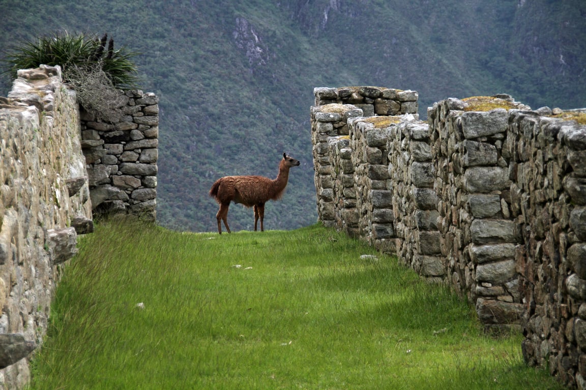Inca Trail Machu Picchu