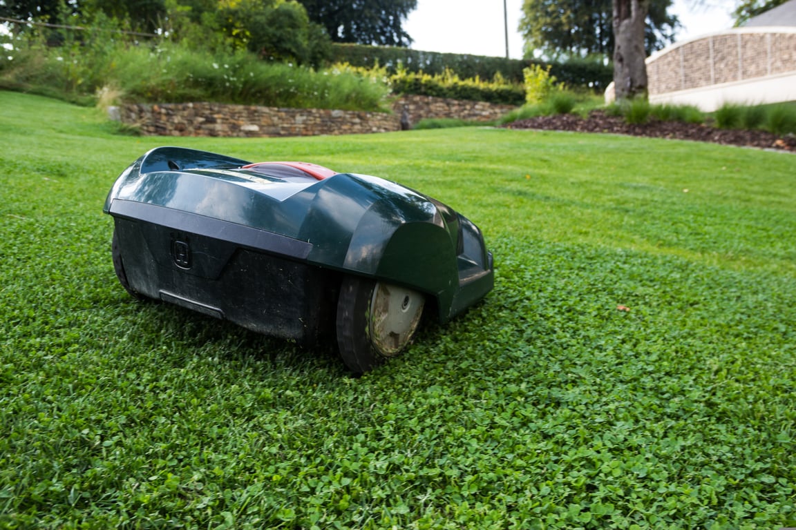 lawn mowing service