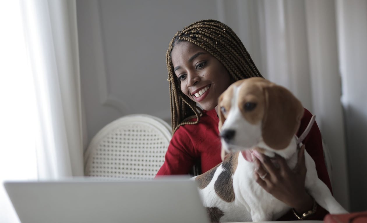Dog Groomers That Come to Your House: Convenience, Costs, and What to Expect