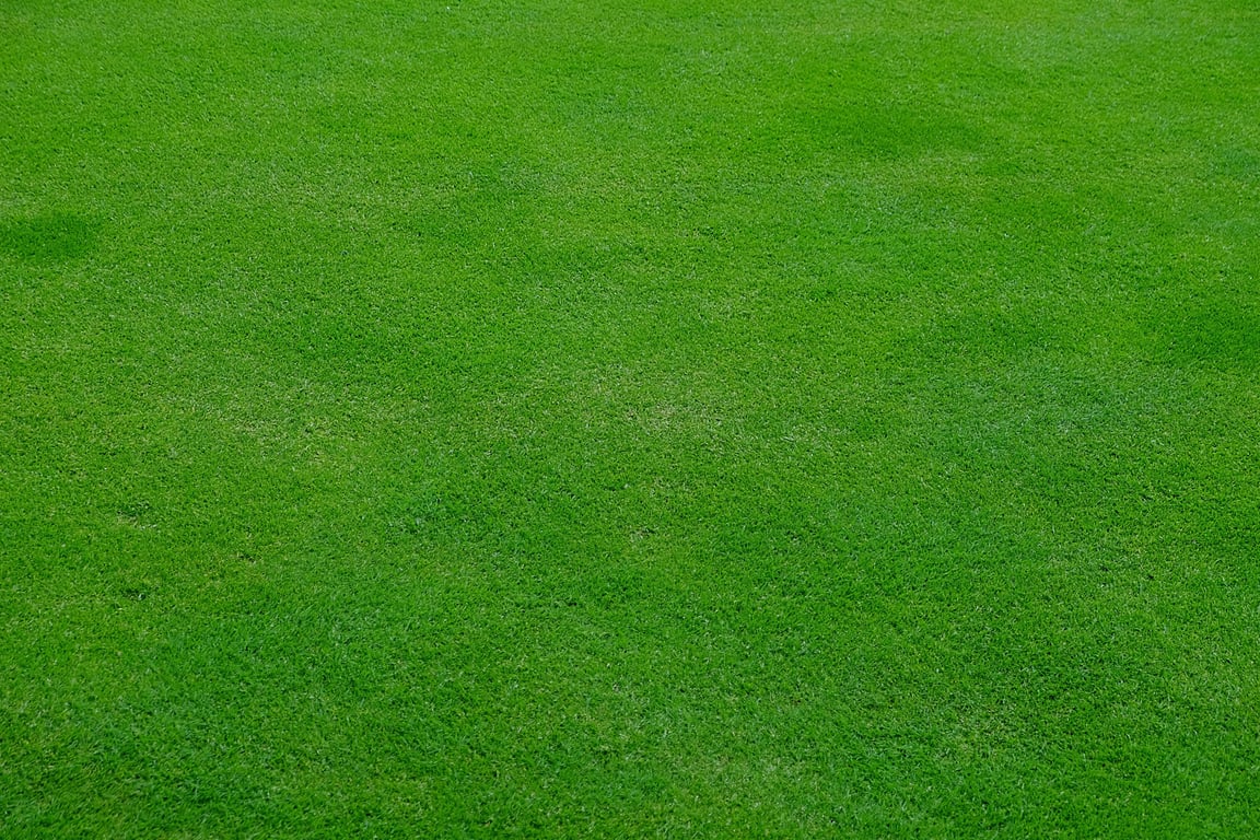 lawn mowing service