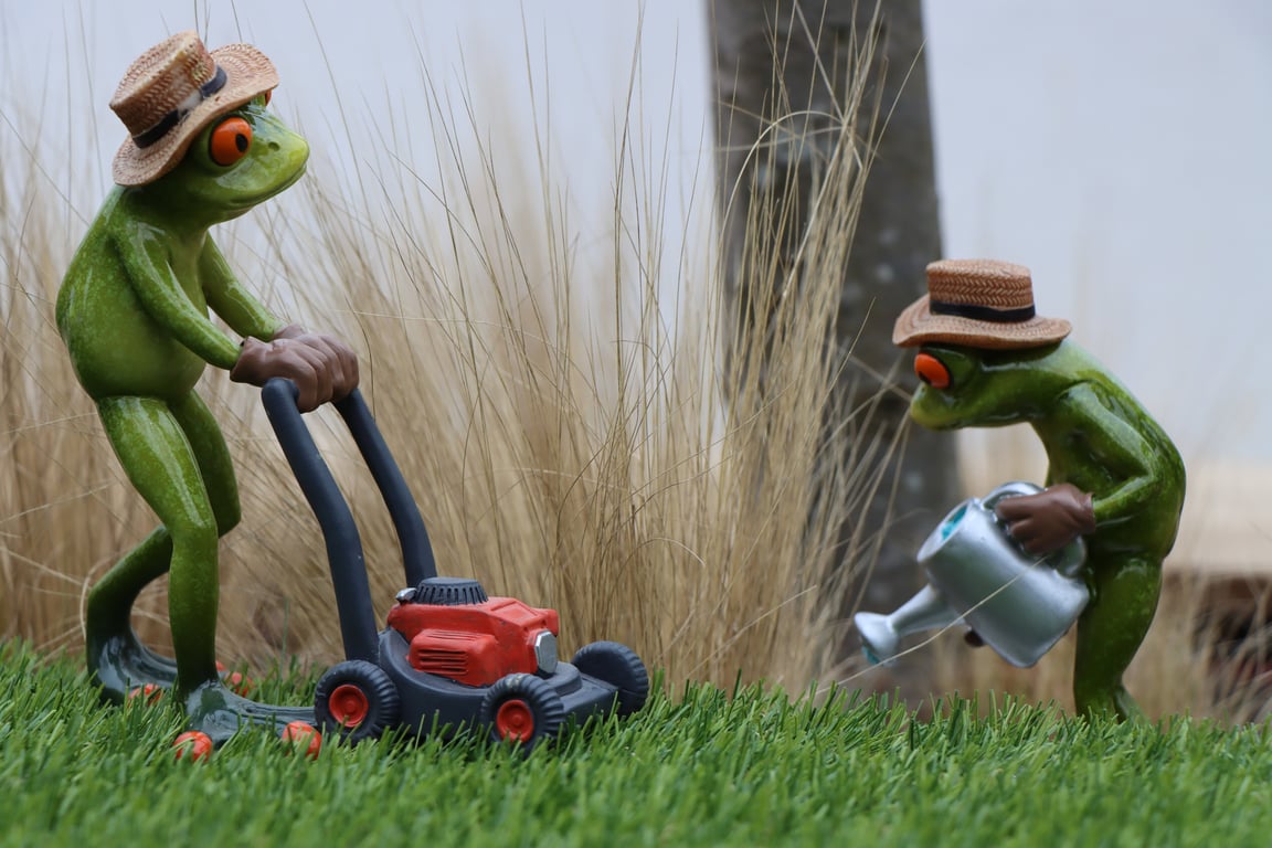 lawn aeration service