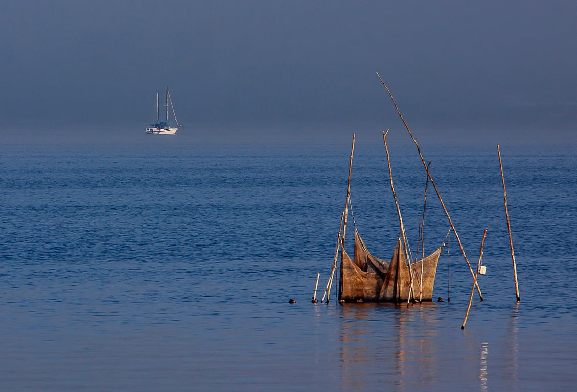 fish trap in lake