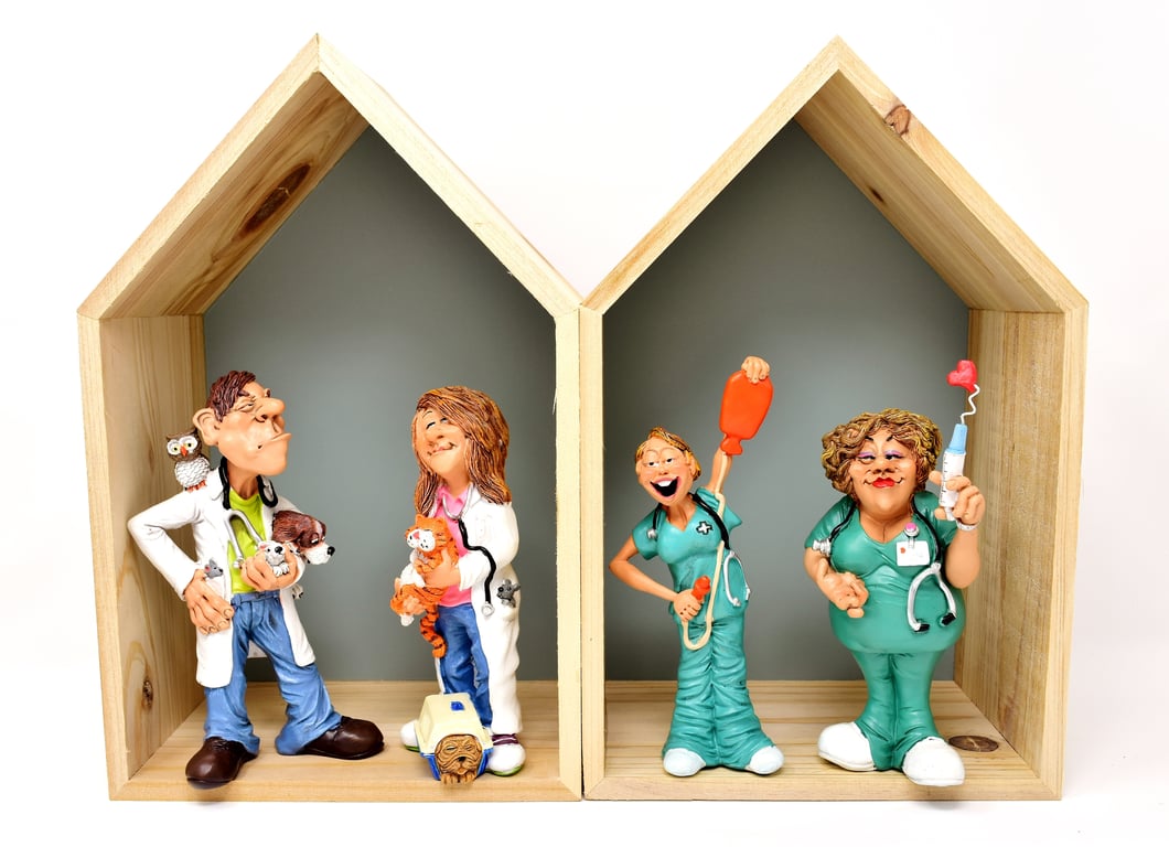 emergency veterinary hospital