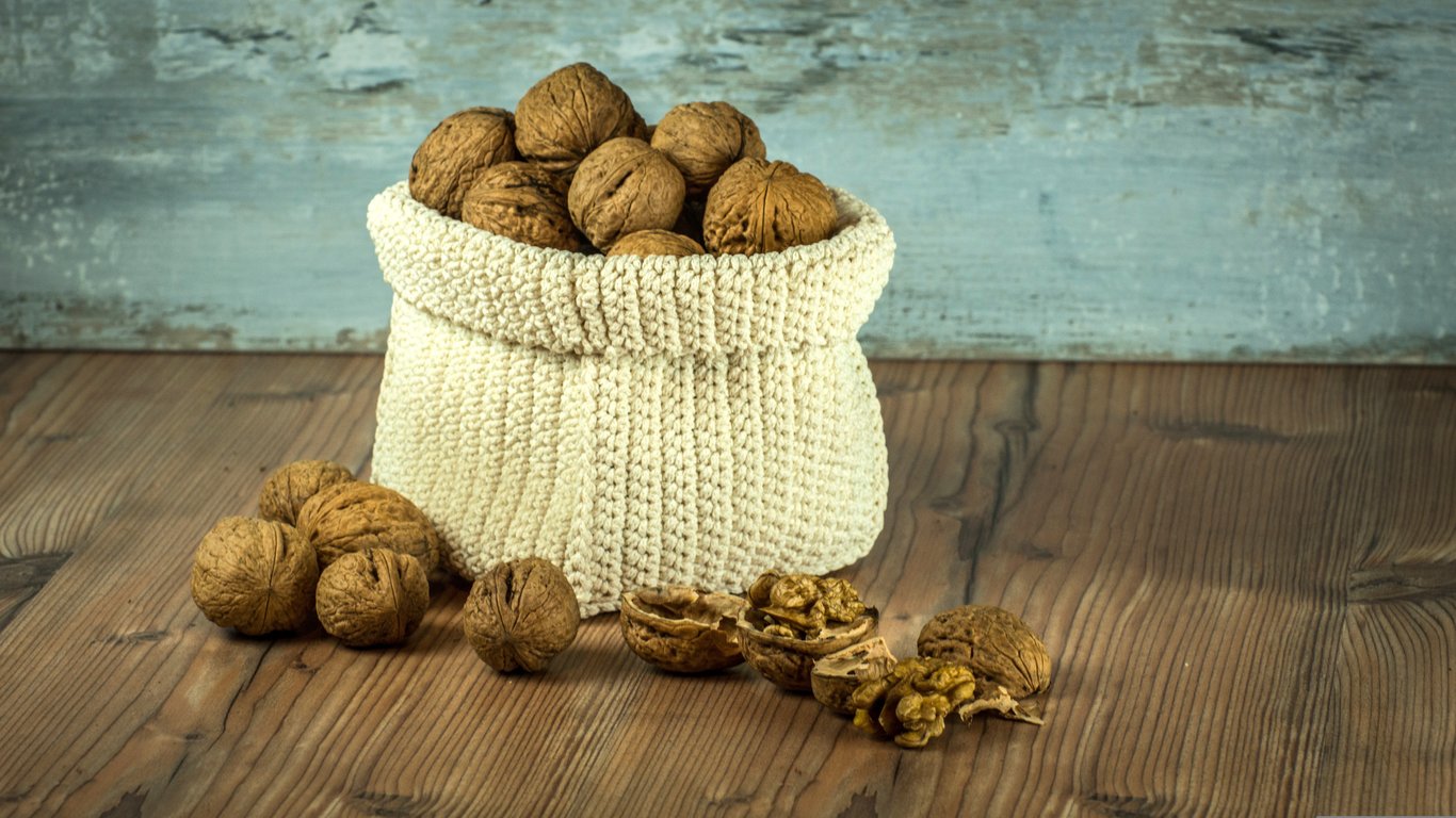 rodent-proof food containers