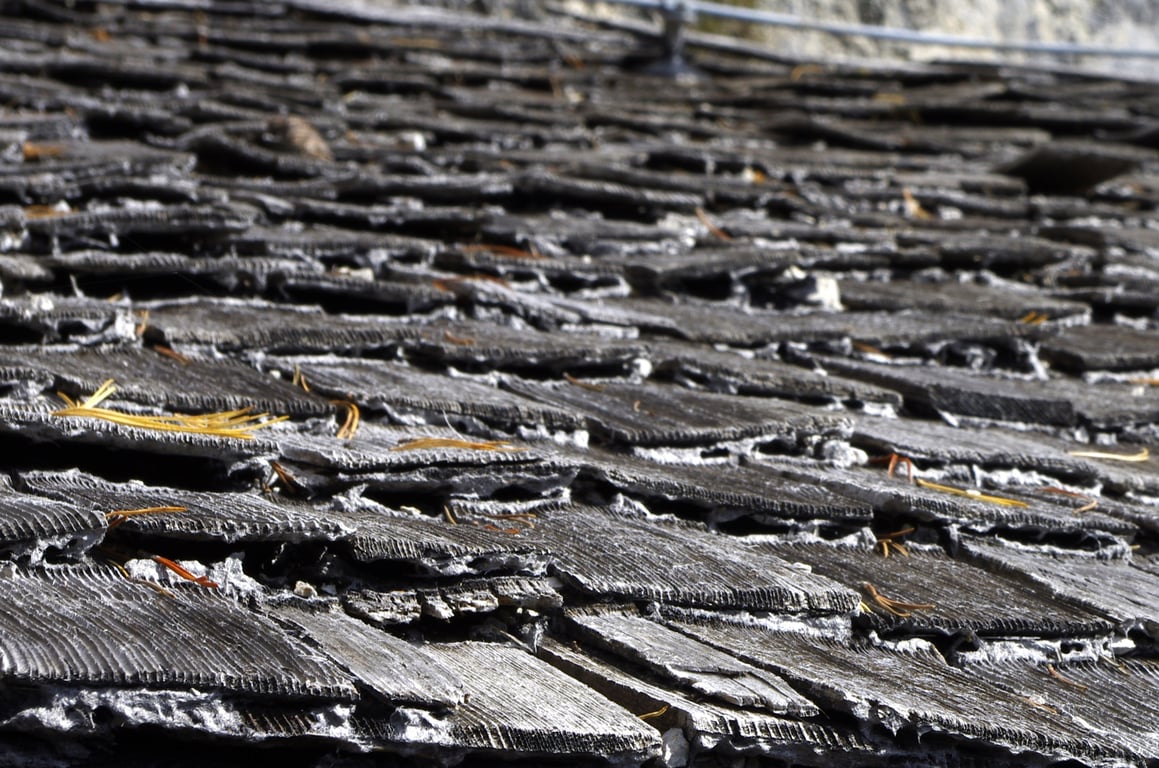 damaged roof shingles