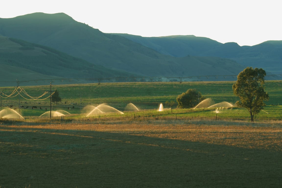 sprinkler irrigation repair