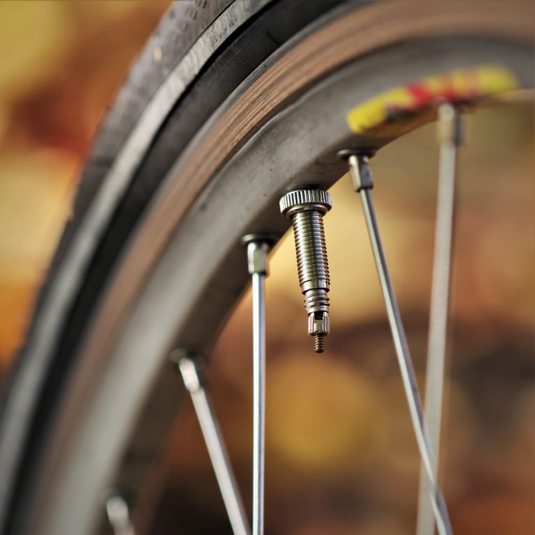 tire shop wheel alignment