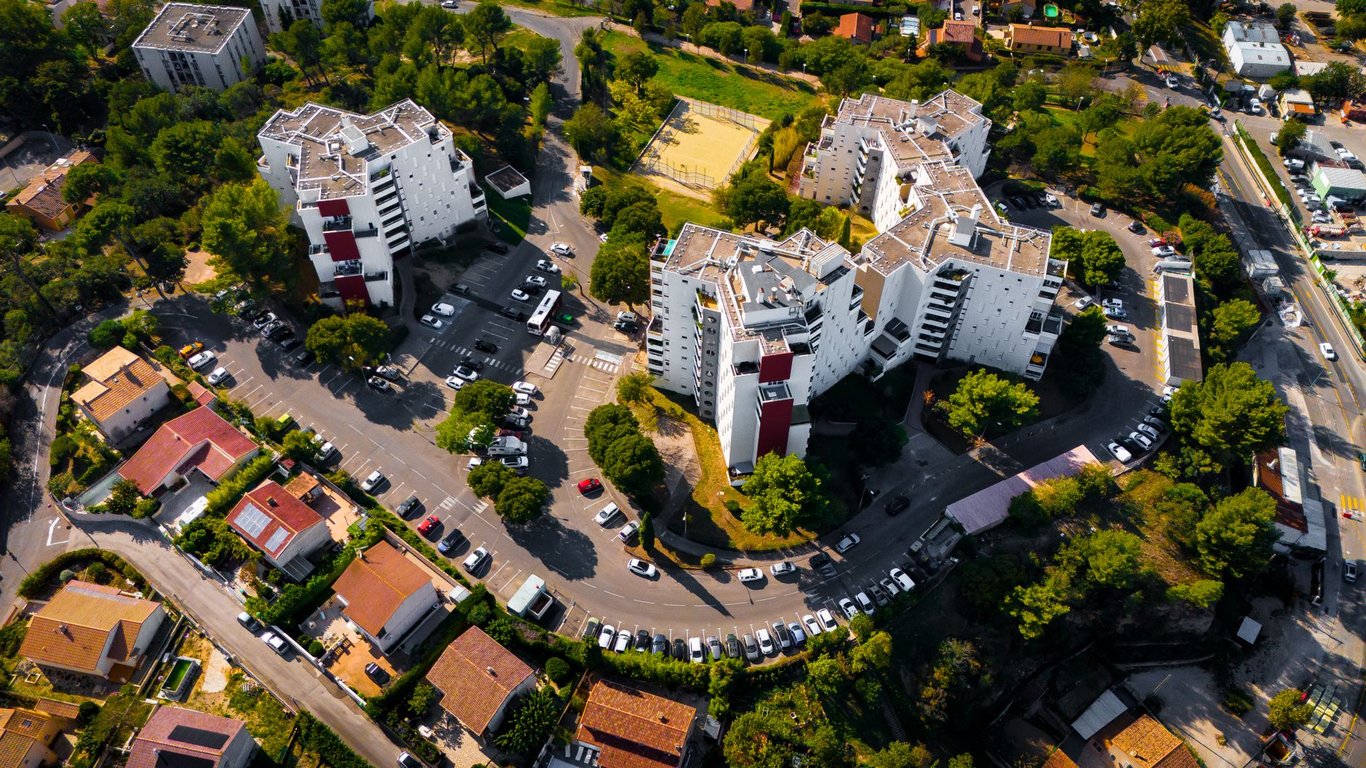 Termite Control Near Me: How to Choose a Qualified Local Service