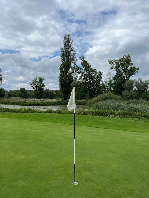 Image describing Top 7 Proven Haven Golf Tips for 2026 Fast Wins?