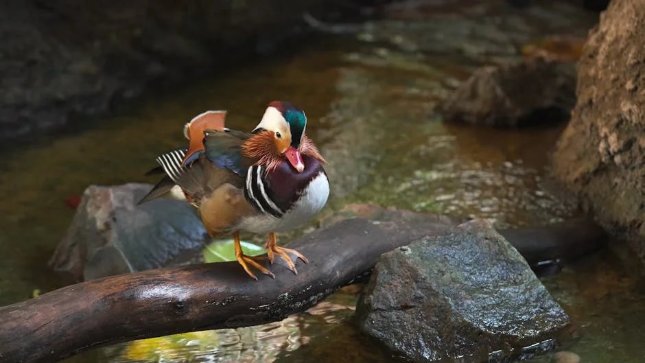 Image describing How to Get SketchUp Free in 2026 7 Simple Ways Now?