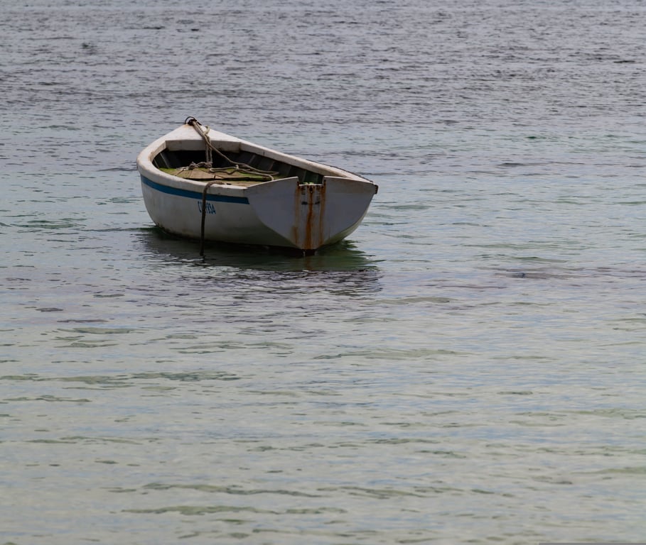 boat on trailer inspection