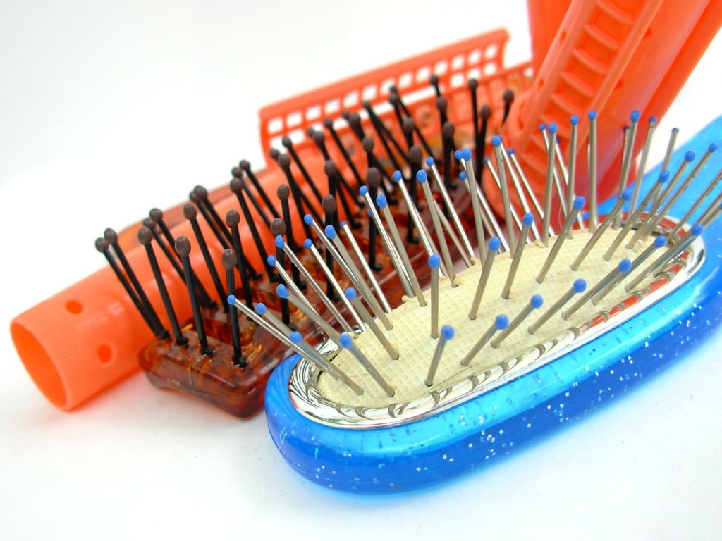 PetSmart dog grooming salon