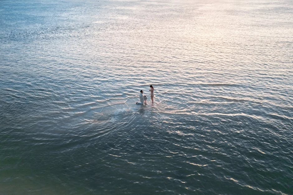 Image describing Top 10 Scholarships for Semester at Sea in 2025!