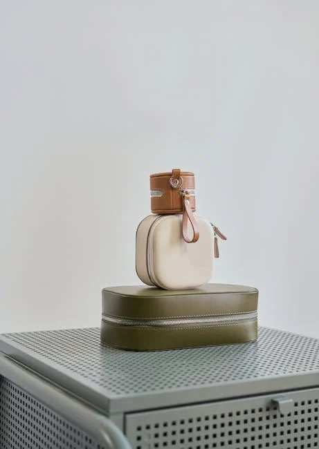 Image describing 10 Best Designer Bags for Under $100 in 2025!