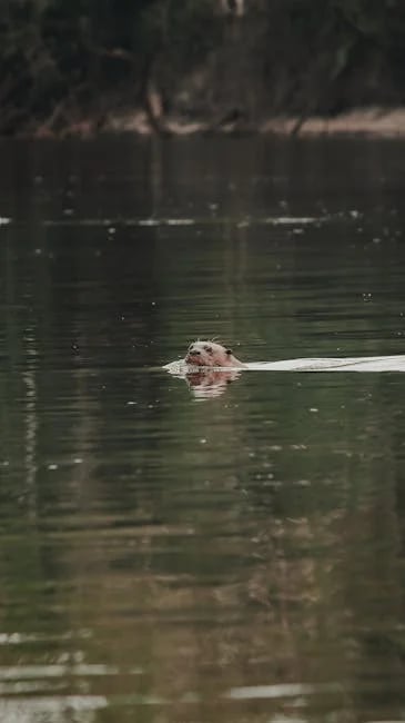 Image describing Amazon Luna 2026 7 Proven Fast Tips for Best Play Now?