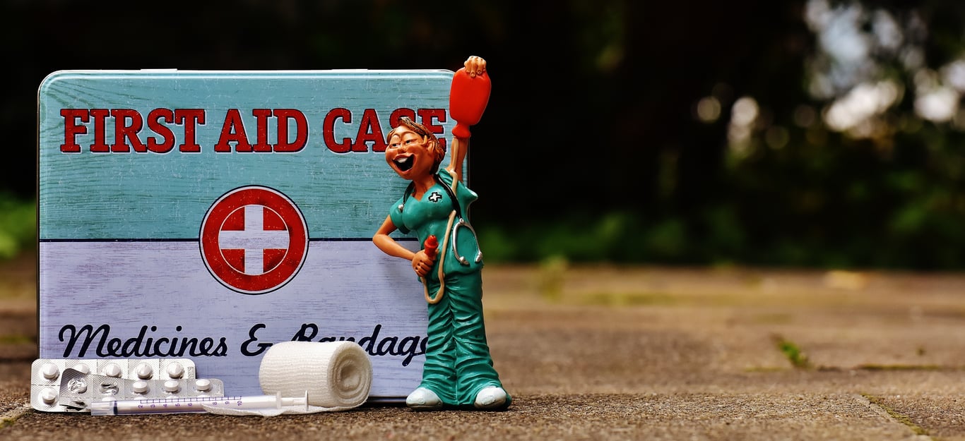 wilderness first aid training
