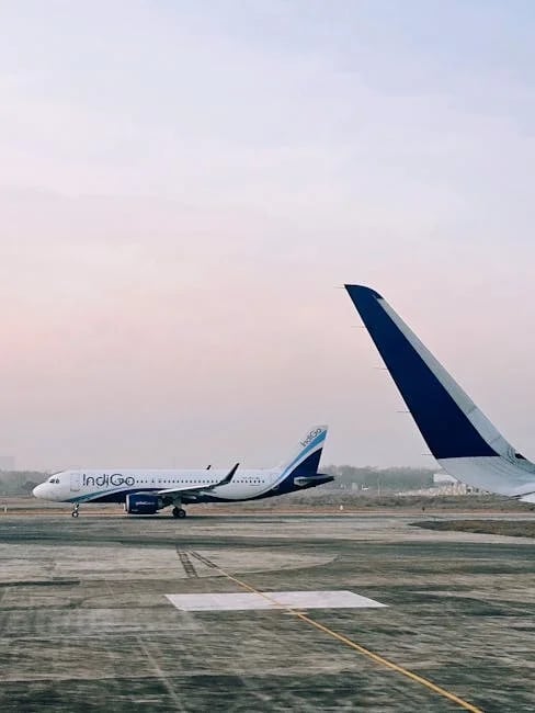 Image describing How to Find the Best Domestic Flights Now in 2026?