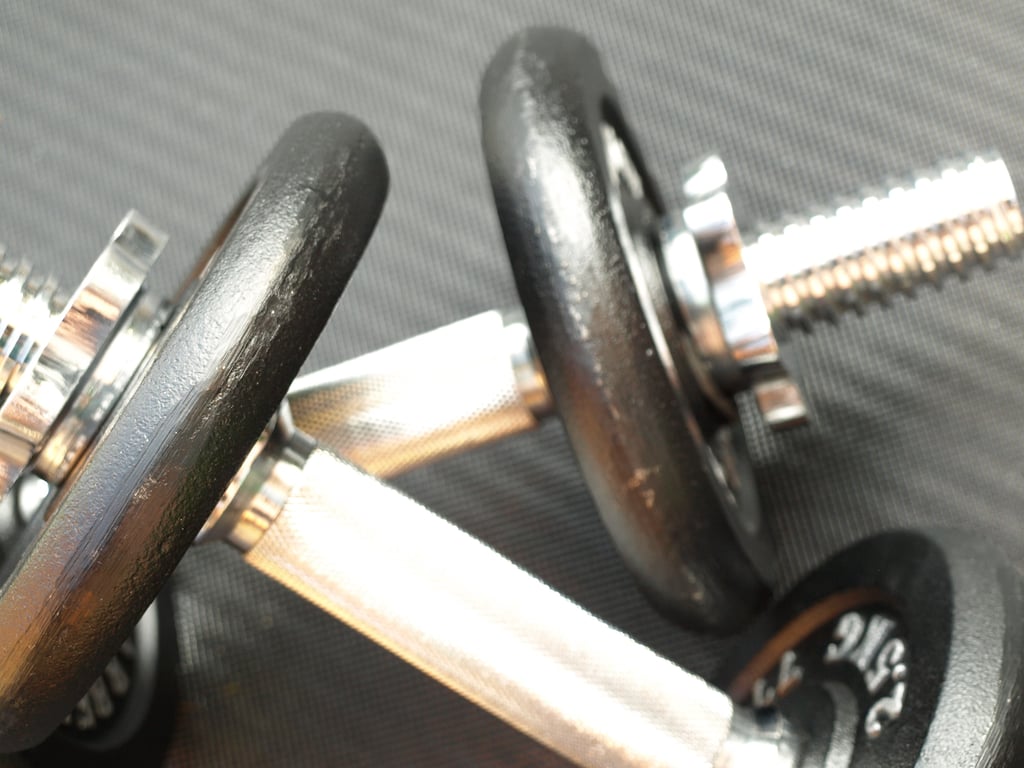 Reese Towpower weight distribution hitch