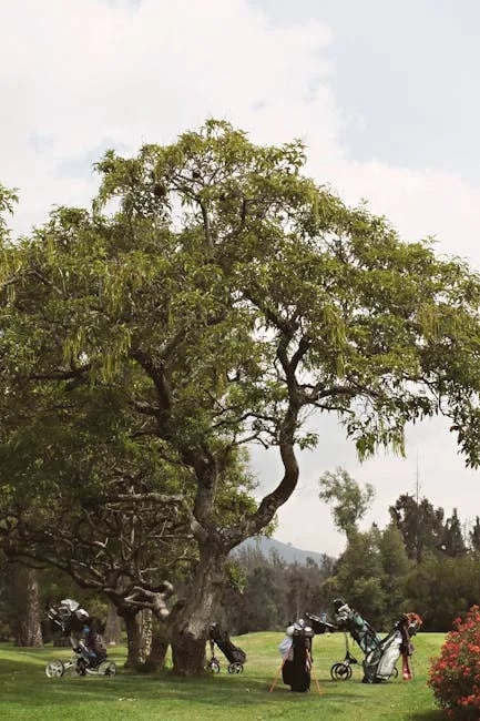 Image describing Top 7 Proven La Costa Resort Golf Tips for 2026?