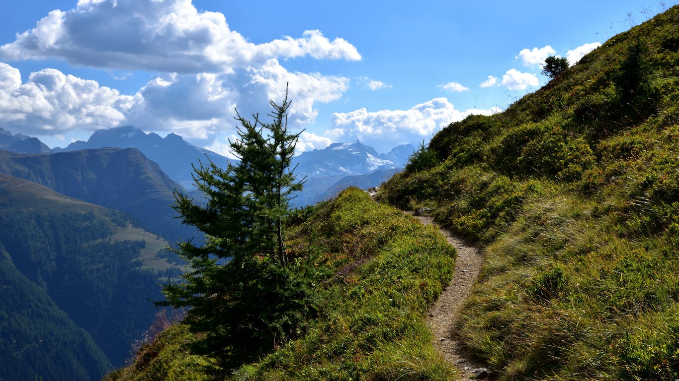 How to Choose a Hiking Store That Matches Your Trail Needs