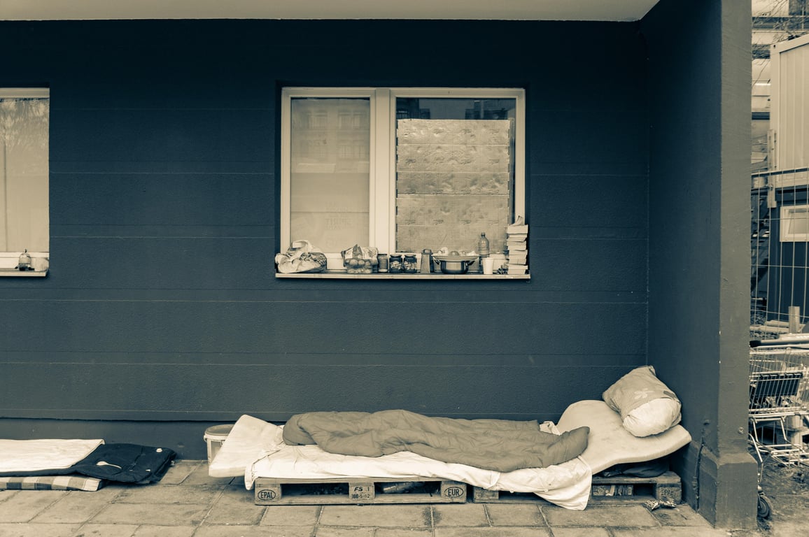 bed bug mattress inspection