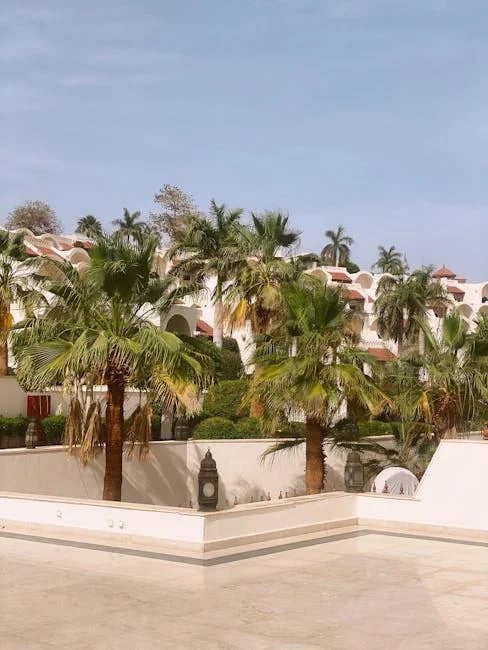 Image describing Top 10 Best Summer Abroad Programs for 2025!