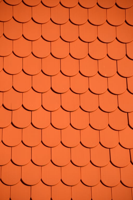 roof inspection