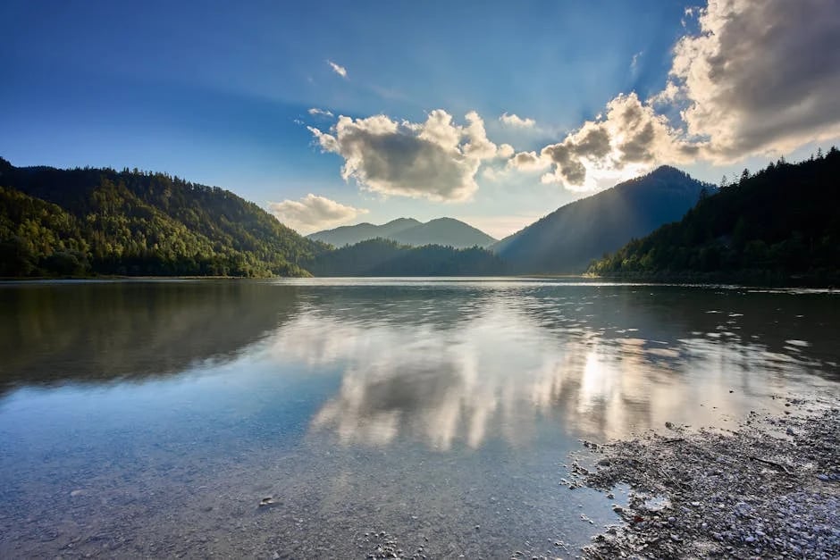 Image describing Best Vanguard REIT ETF for 2026? Top 5 Proven Picks Now