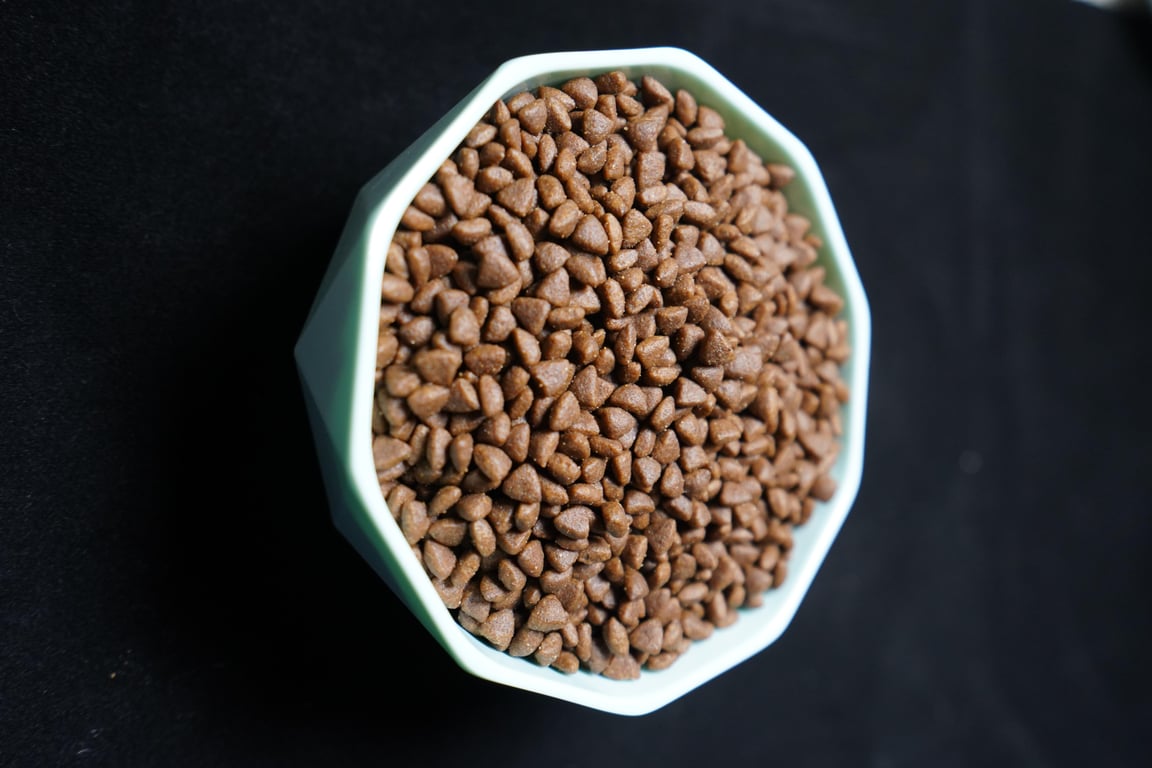 dog and cat food bowls