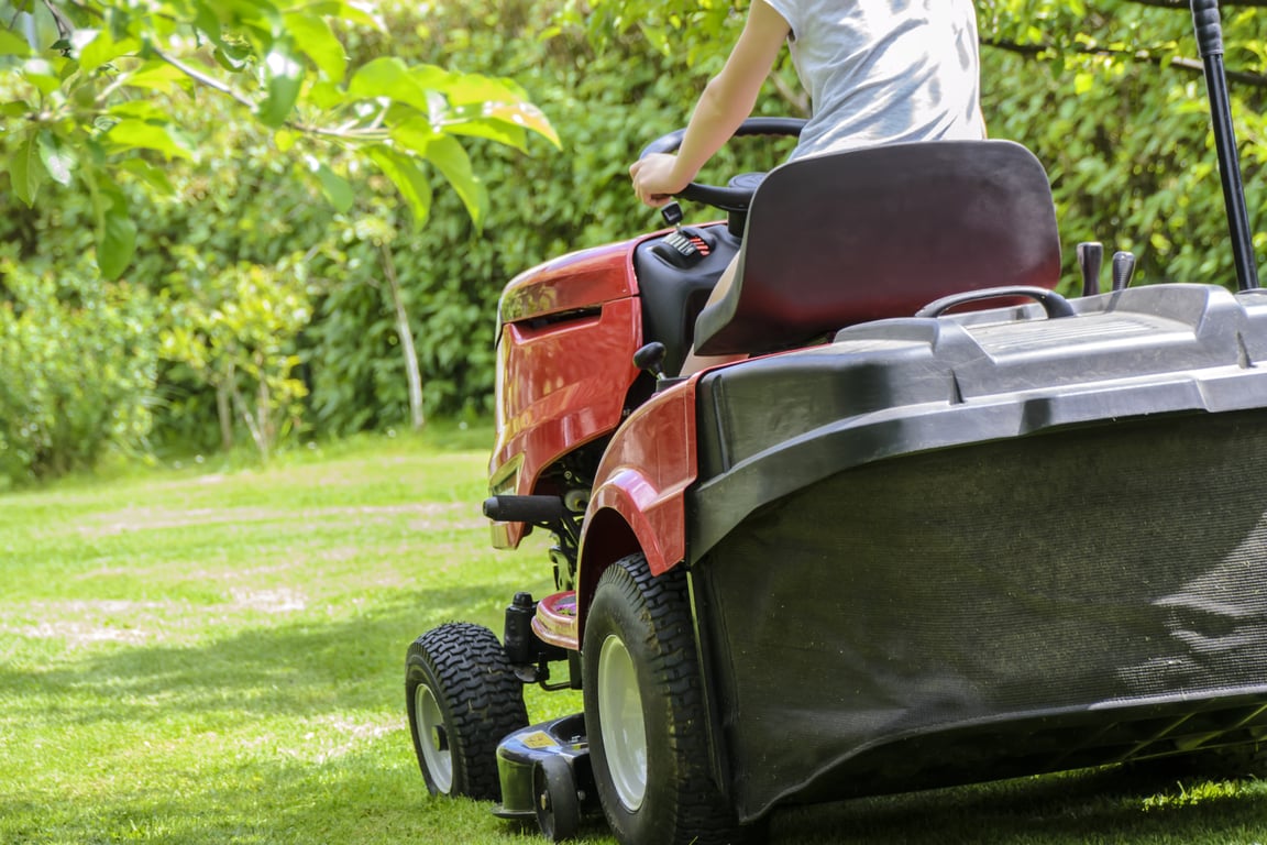 healthy green lawn mowing