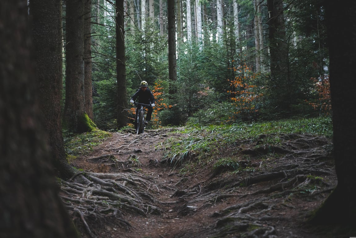 wilderness first aid training outdoors