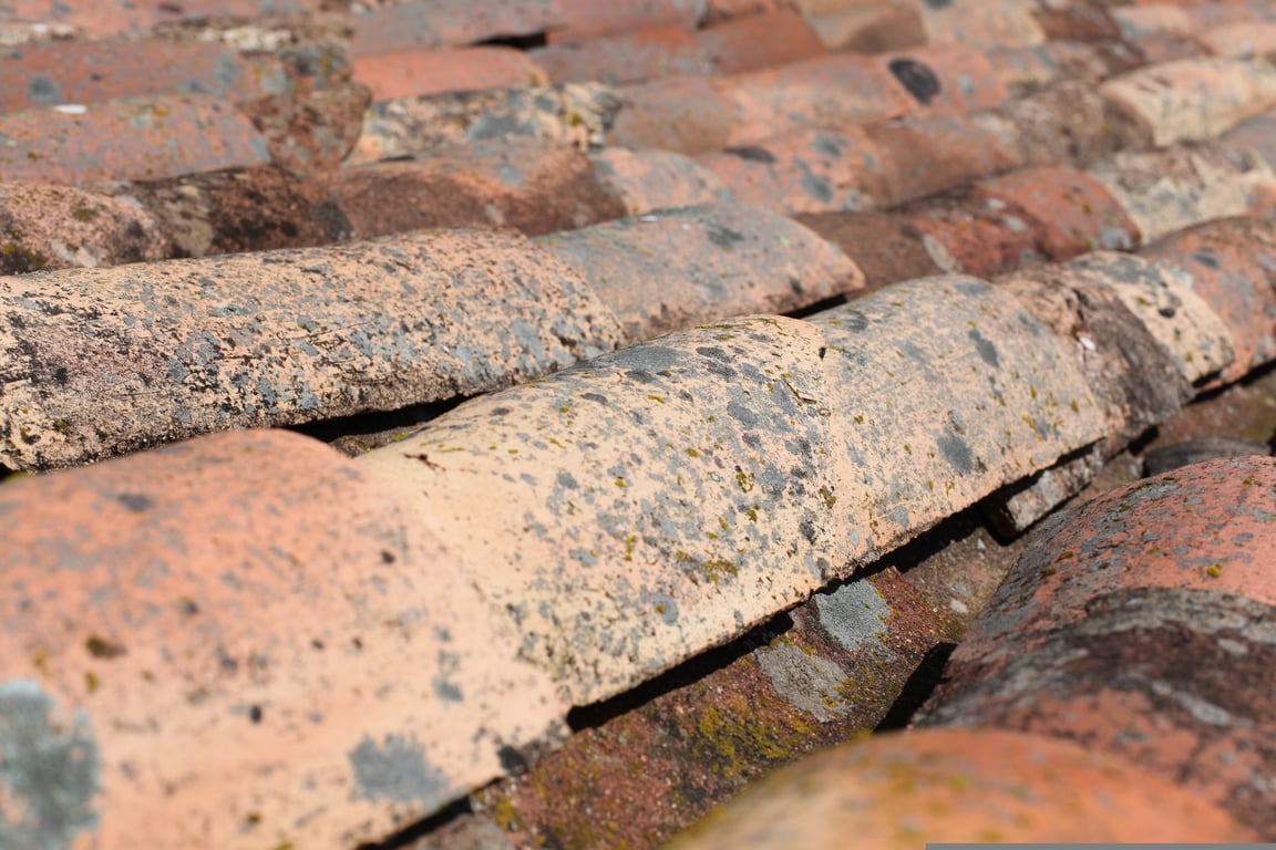 flat roof repair
