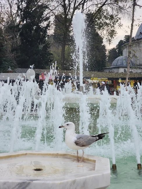 Image describing 2025 Showdown How the Best Ravens Will Crush the Jets!