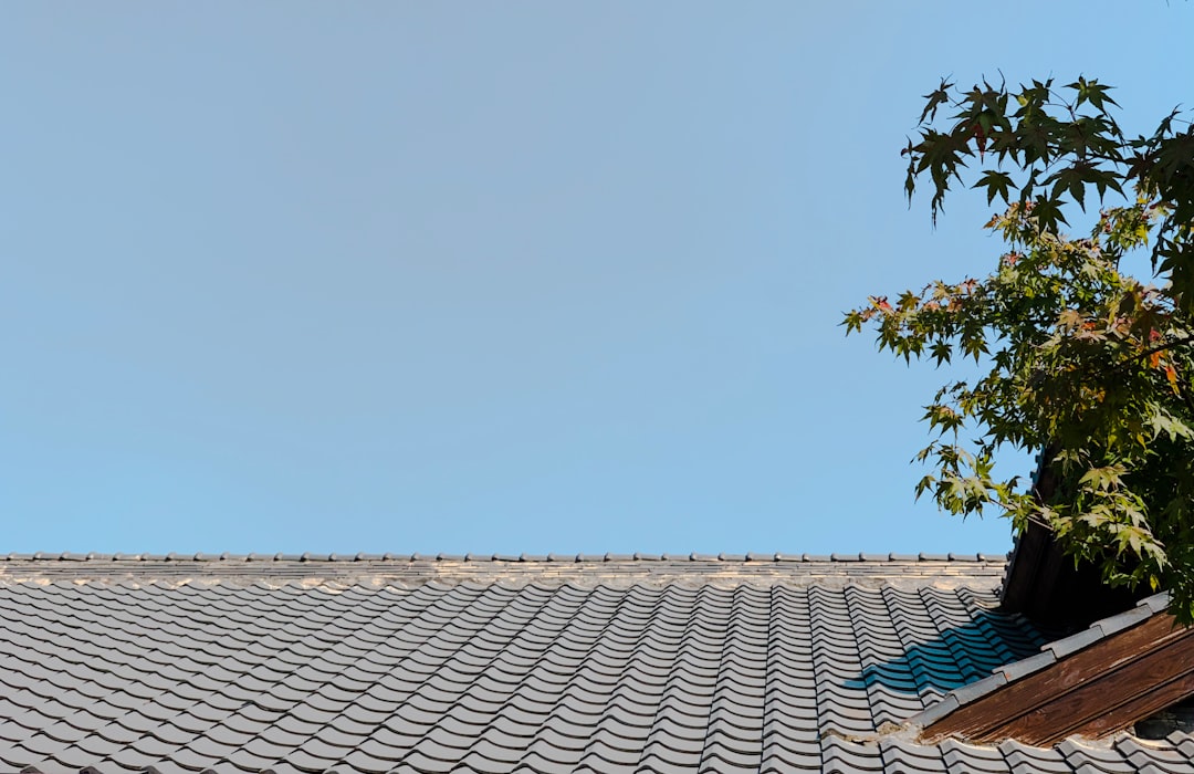 Roof Cost: What Really Drives Your Replacement Estimate