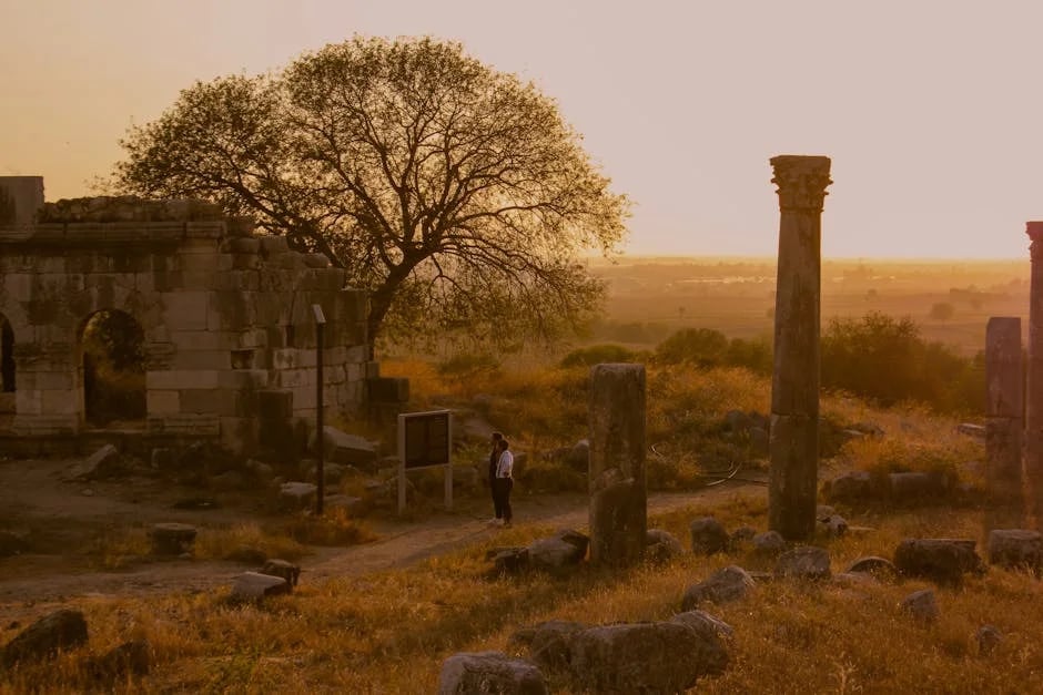 Image describing Top 10 NFT Auction Sites Thatll Skyrocket by 2025!