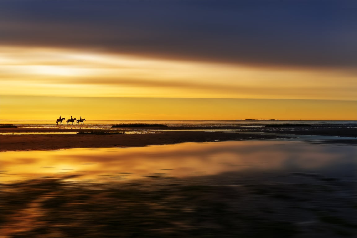 Hollywood Sunset Ranch horseback riding