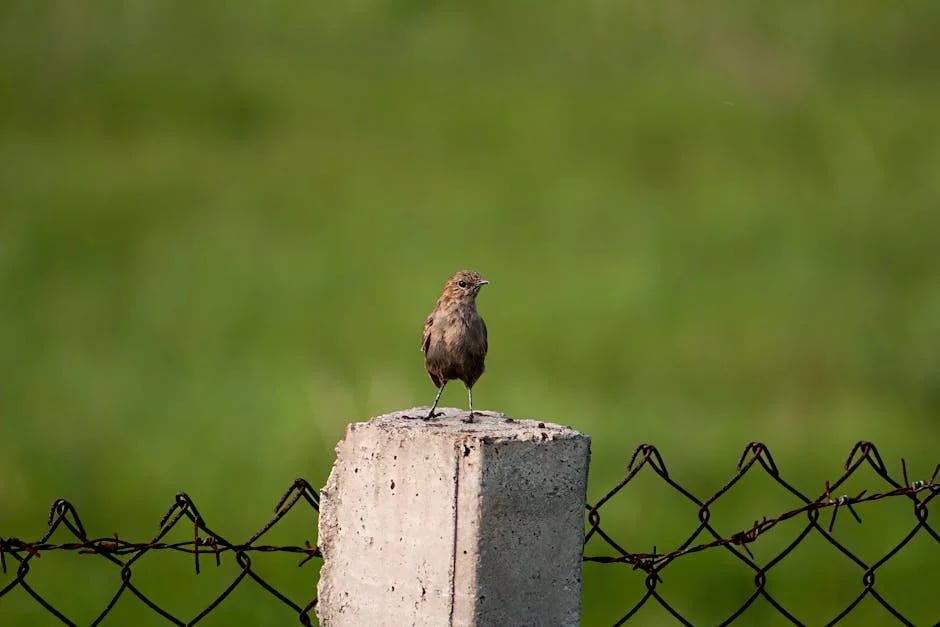 Image describing Best Online HR Degree 2026 Fast, Proven Path Now?