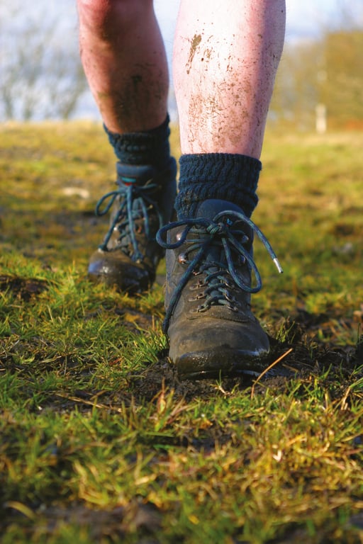 hiking boots wet trail