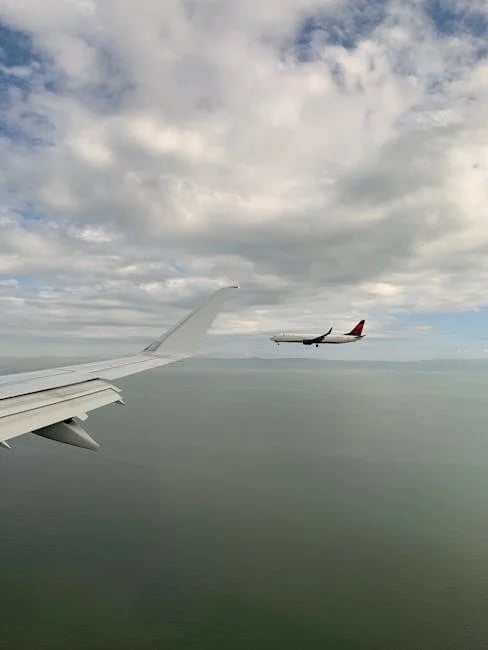 Image describing ITA Airways Reviews 2026 Best Proven Tips Before You Book?