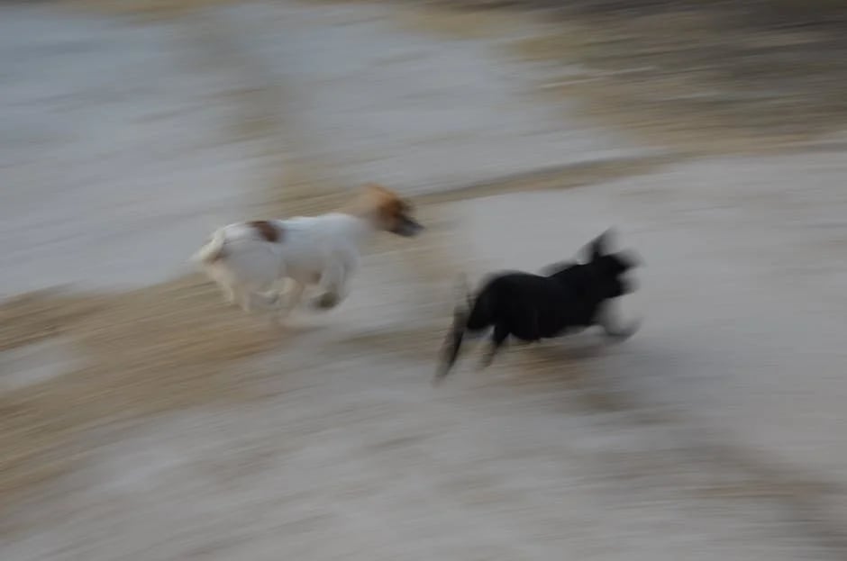 Image describing Chase Freedom vs Unlimited Best Pick in 2026? 7 Proven Tips