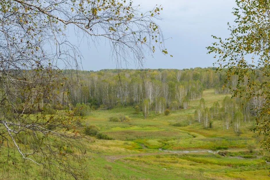 Image describing Top 7 Free Scholarships Guaranteed for 2025 Success!