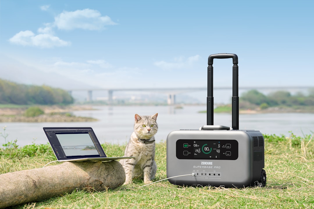TriState Generator: What Homeowners Should Verify Before Buying Backup Power
