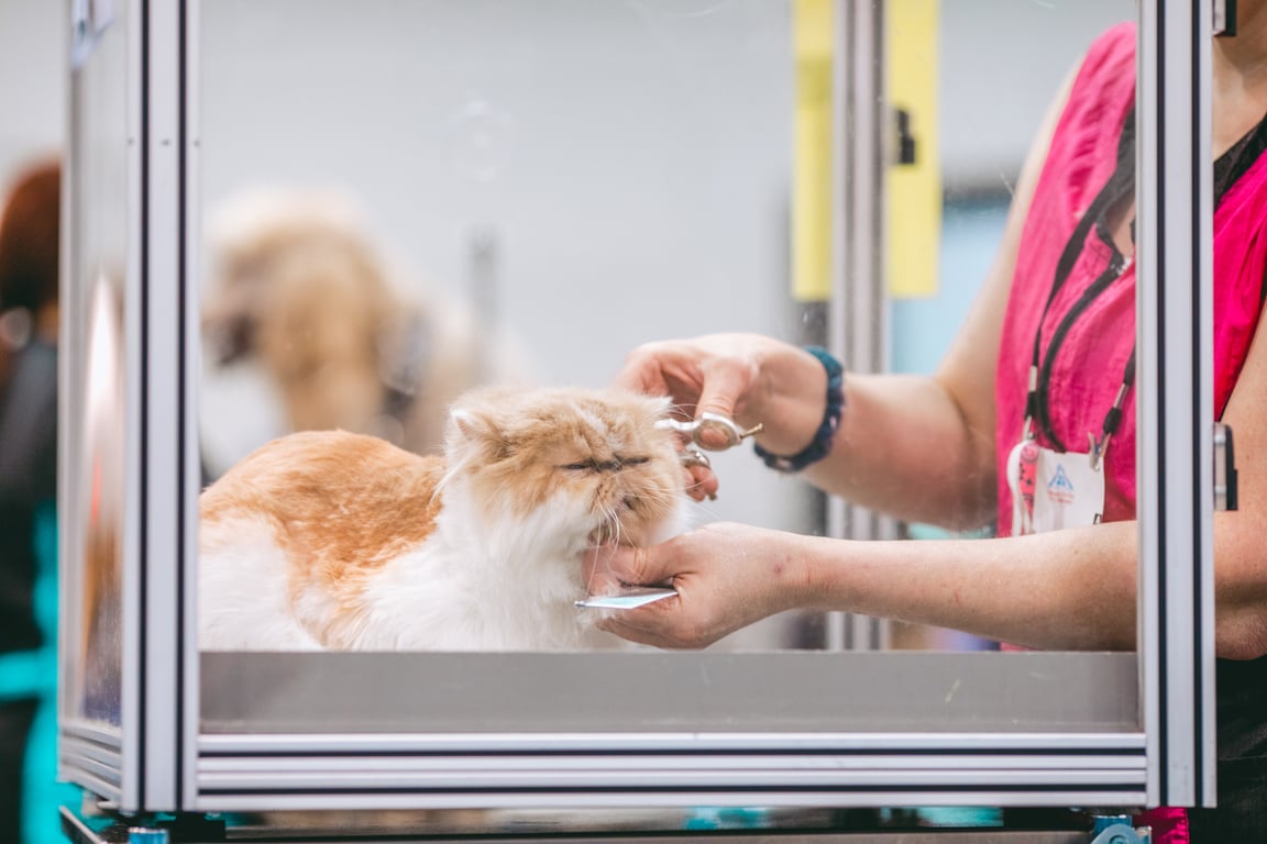 mobile cat groomer